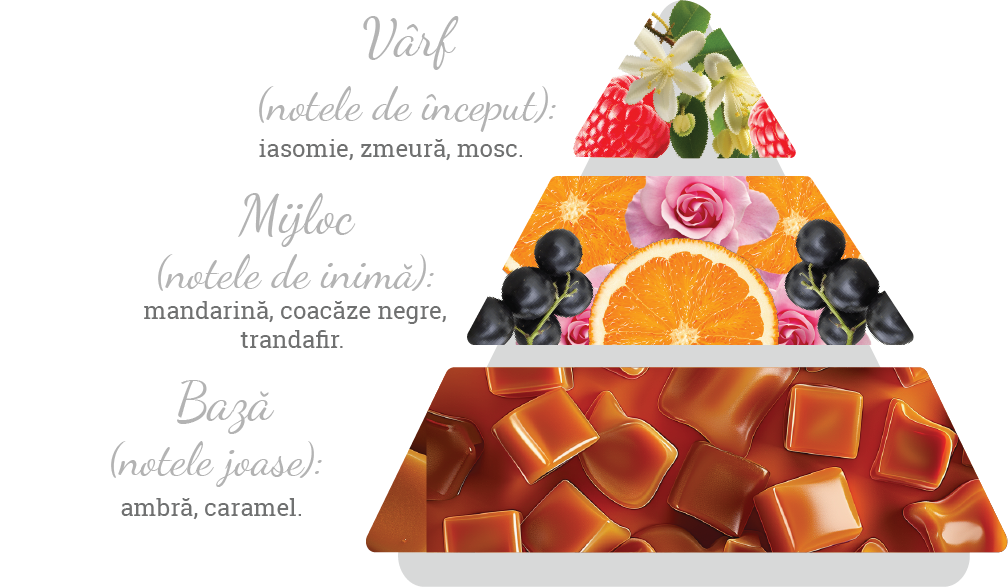 Compoziția parfumului